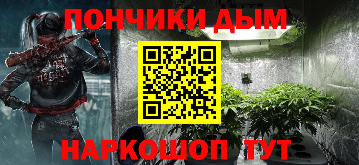 Бошки Шишки ГИДРОПОН Знаменск